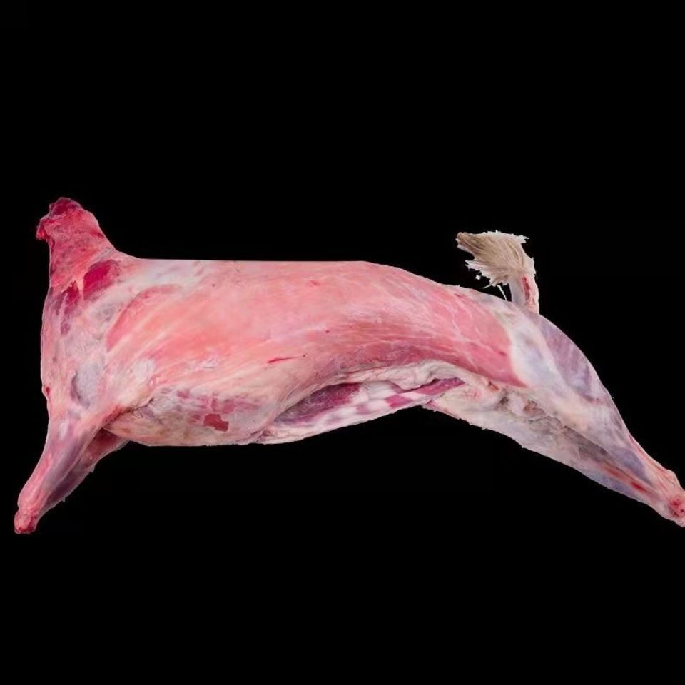 沂蒙山大黑羊现宰现宰新鲜全羊整只羊 白条羊羊腿冷冻整只 羊