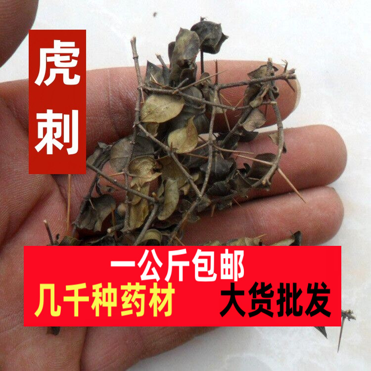 虎刺正宗野生中药材虎刺根老鼠刺绣花针干品白凤珠草药一公斤包邮