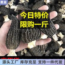 云南羊肚菌干货野生250g特价短柄羊肚菇蘑菇菌类土特产非新鲜500g