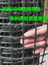 塑料网防护网围栏熟料养殖网鸡鸭小孔漏粪圈玉米网户外抗老化