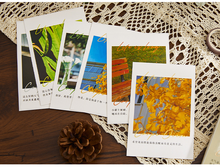 青禾纪有你的世界30张盒装明信片 文艺学生礼物留言祝贺卡片