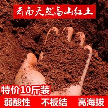 通用型花土大包云南红土营养土种菜土养花土家用泥土种植土壤酸土