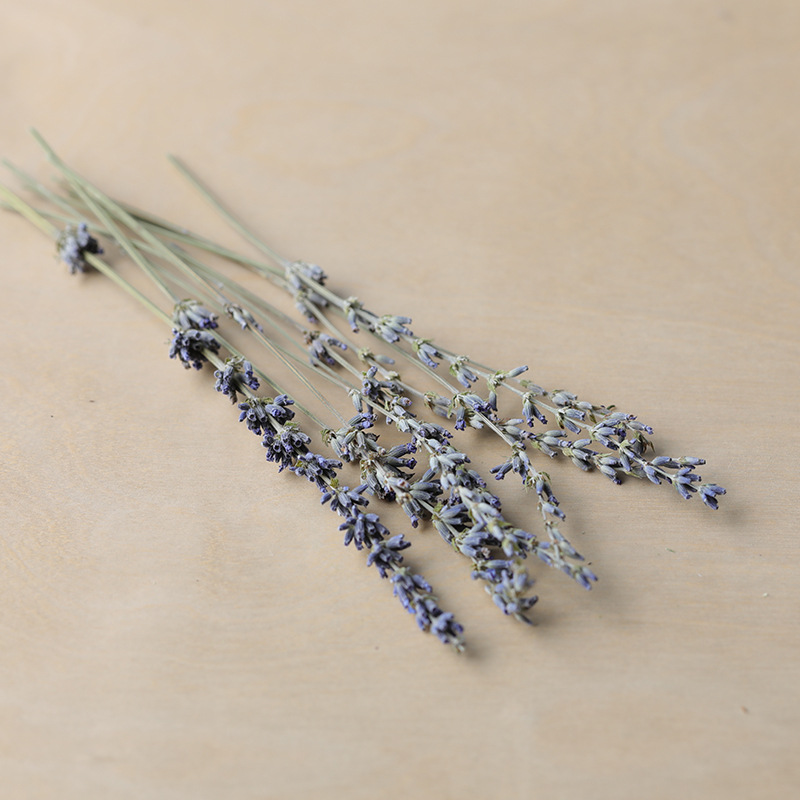 薰衣草干花枝10根 真花 香薰蜡烛蜡牌装饰干花 蜡烛耗材
