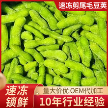 厂家供应速冻毛豆 速冻剪尾翠绿宝毛豆 速冻菜豆批发速冻毛豆荚