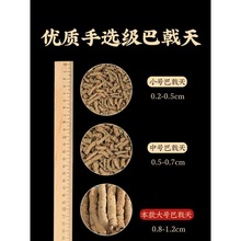 寻百草巴戟天中药材正品500g韭菜籽可搭杜仲淫羊藿肉苁蓉覆盆子