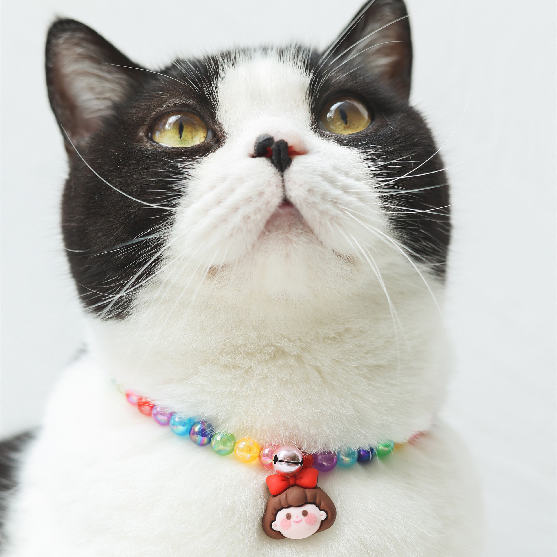 圣诞节可爱彩色挂饰项圈