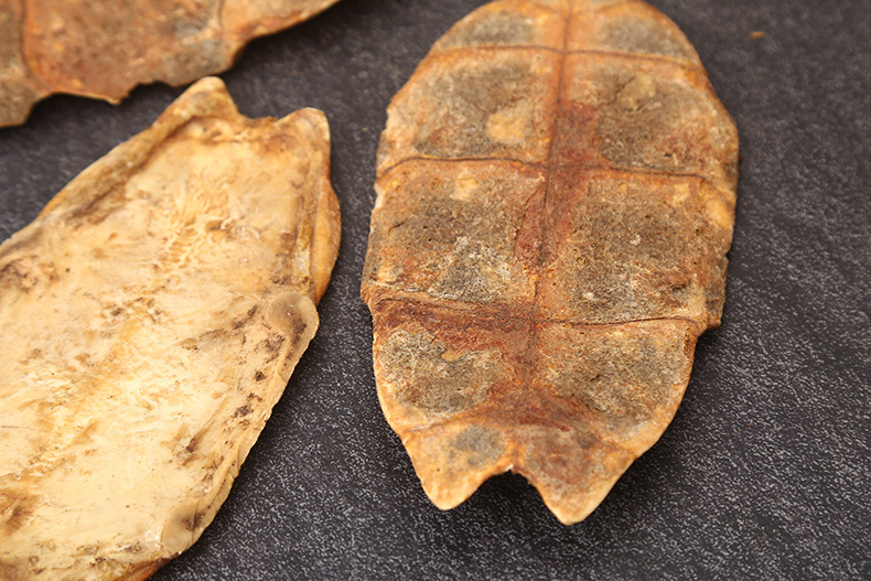 湖北龟板 现货批发中药材1000g龟板龟壳龟甲 规格齐全