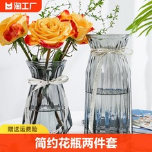 两件套玻璃花瓶水培鲜花富贵竹水养插花瓶客厅装饰房间极简台面