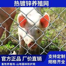 圈地隔离网鸡鸭牛羊猪马养殖钢丝网果园防攀爬不锈钢勾花网围栏网