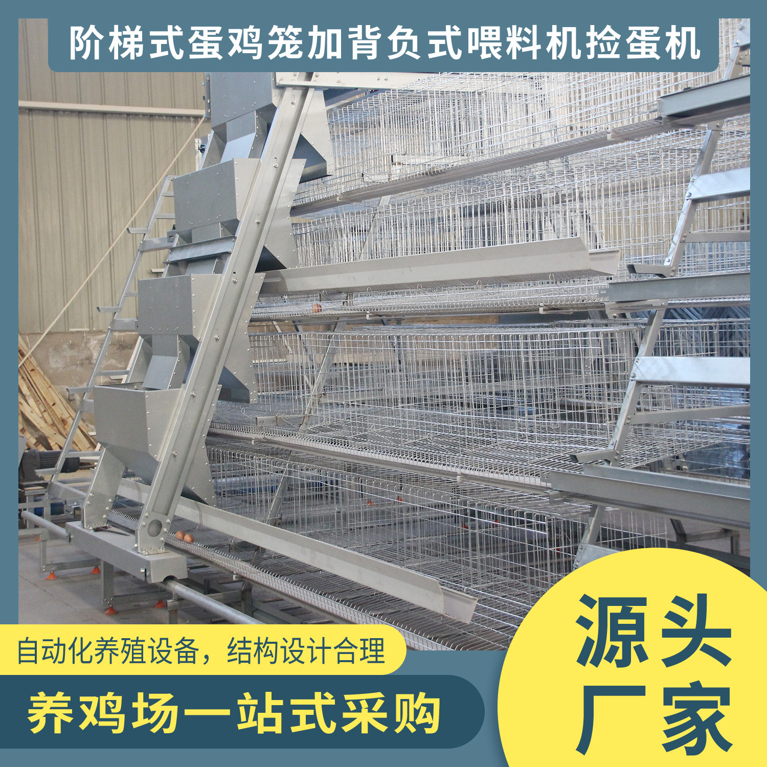 自动出蛋小鸡笼子养殖设备阶梯式机械蛋鸡笼养喂料机捡蛋