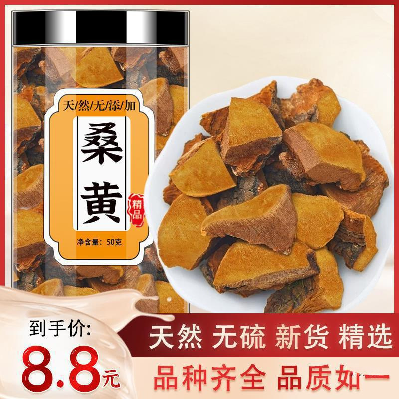爆款美味野生桑黄西藏材桑树桑黄茶干货煲汤粉泡茶泡水的功效葵凤