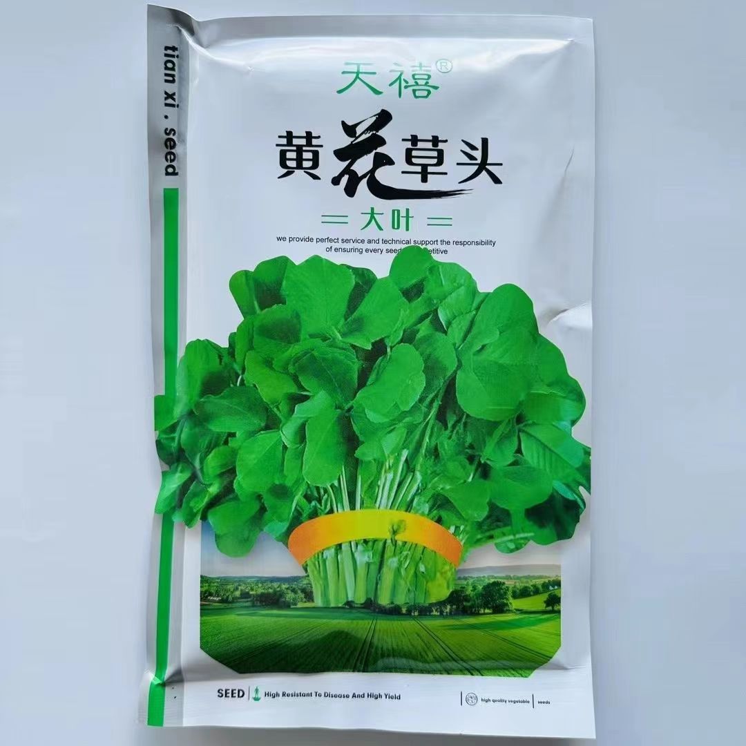 天禧大叶黄花草头种子食用苜蓿草种子金花菜春秋季野菜农家菜正品