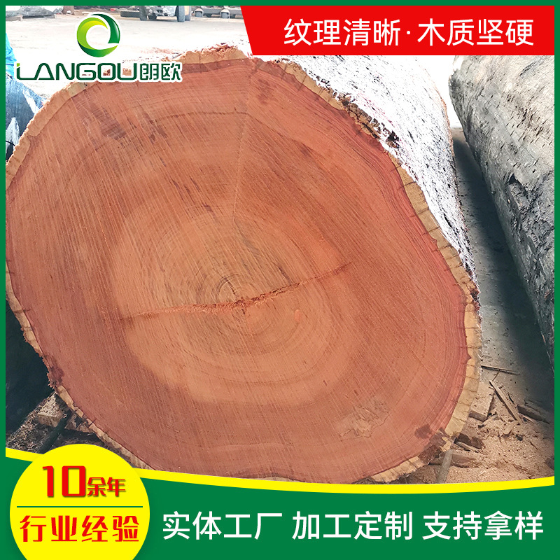 现货大叶红檀原木 实木家具工艺用材工艺乐器材木质材料纹理清晰