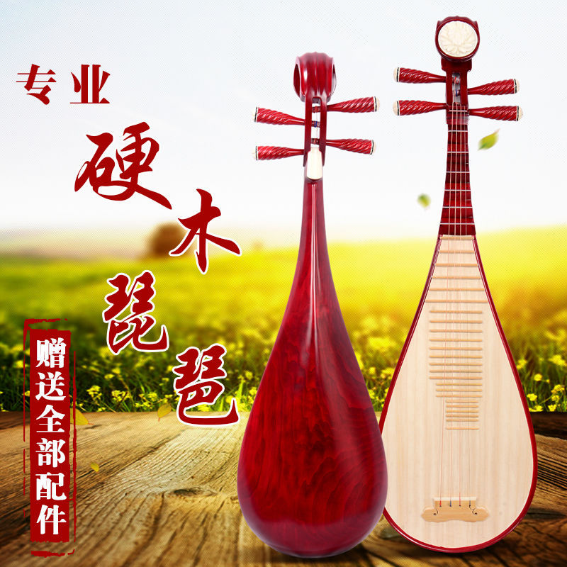 成人琵琶 初学民族乐器硬木红木练习琴专业演奏琵琶厂家直销
