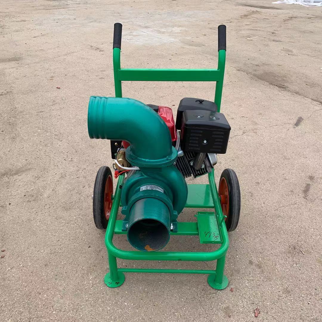 口水4寸抽水泵 自吸式6寸泥浆泵图片 柴油12寸抽水泵单价