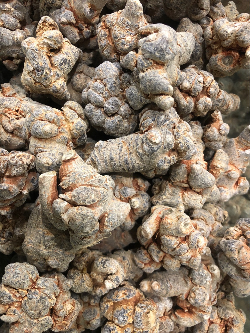 云南文山三七 三年生田七批发 免费磨粉 23 头 38头 60头 100头