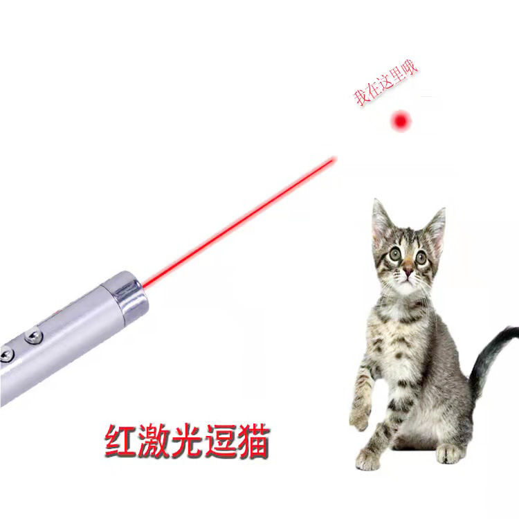 Aluminum Alloy Gift Emergency Small Flashlight LED Laser Cat Teaser Mini Keychain Light Funny Cat Laser Pen