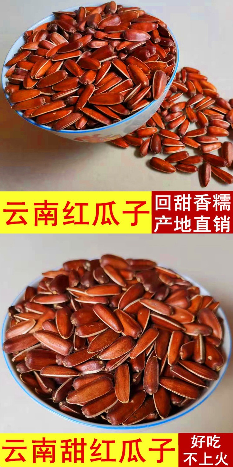 云南特产红皮生瓜子大颗粒山地葵花籽农家自种原味甜糯水果红瓜子