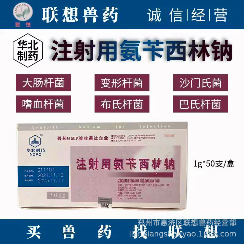 注射用氨苄西林钠 华北制药 大肠杆菌 沙门氏菌 巴氏杆菌-阿里巴巴