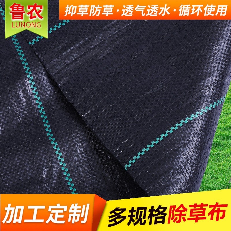 Factory Supply Industrial and Agricultural Weed Barrier Black Weeding Cloth Plastic Breathable Seepage Gardening Ground Cloth Greenhouse Weed Barrier