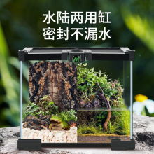 雨林缸爬宠箱白玻璃爬虫饲养角蛙蜥蜴生态热带雨林代发代货速卖通