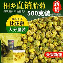 菊花茶桐乡胎菊2袋共500g  非级杭白菊贡菊花茶散装新花1斤