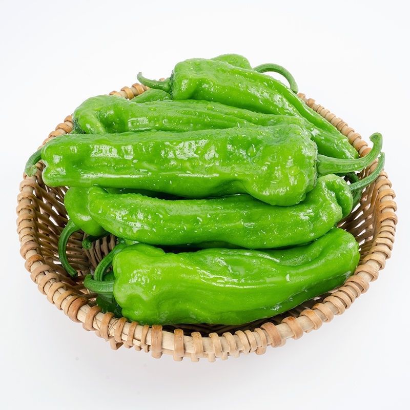 带箱6斤包邮苏北薄皮青椒新鲜青辣椒微辣青椒应季时令蔬菜