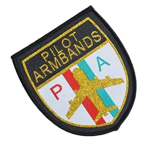 珊锦航别针式金丝航空臂章飞行员机长空少国航南航飞机臂章肩章