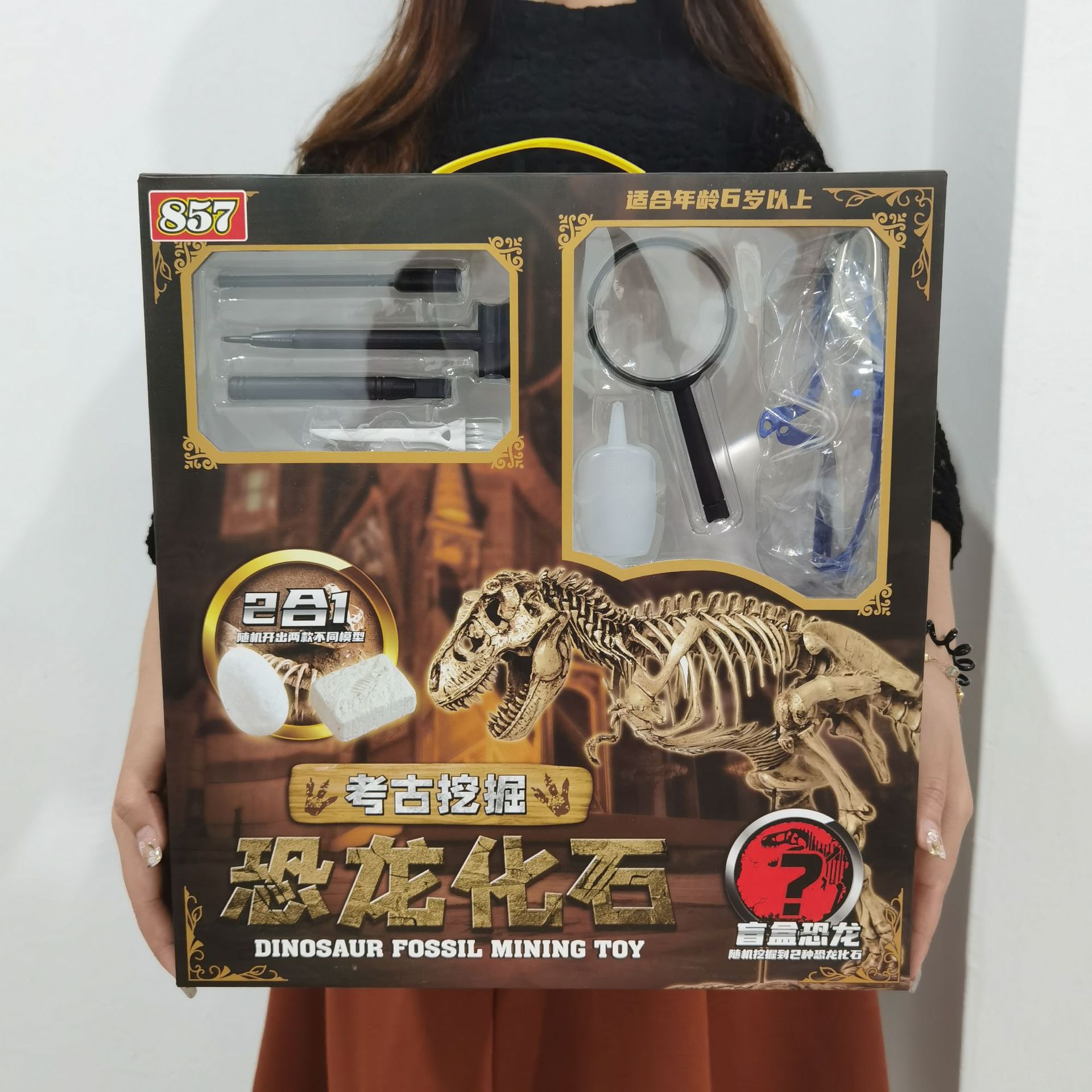 跨境玩具恐龙蛋考古挖掘海陆空恐龙盲盒模型儿童益智玩具宝石考古
