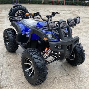 四轮电动大公牛沙滩车 1800w轴传动前后碟刹 12寸铝轮 气囊减震