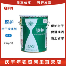 国光 膜护 涂白剂 桶装 树木z树干涂抹膏剂涂k白剂防冻 25公斤