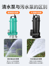 潜水泵220V小型污水泵家用水泵高扬程排污农用大流量排污抽水机