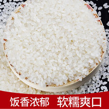 爆款南粳9108香米2023年新米10公斤20斤大米珍珠米粥米寿司米粳米
