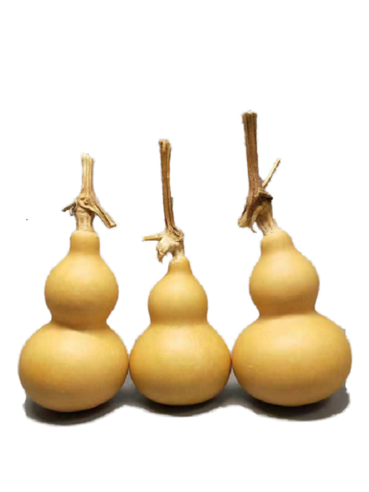 八宝小葫芦一物一图挂瓷包浆天津嘴八宝三庭美国手捻文玩老葫芦