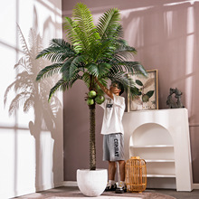 大型散尾葵热带植物椰子树室内仿生绿植氛围假树造景盆栽摆件