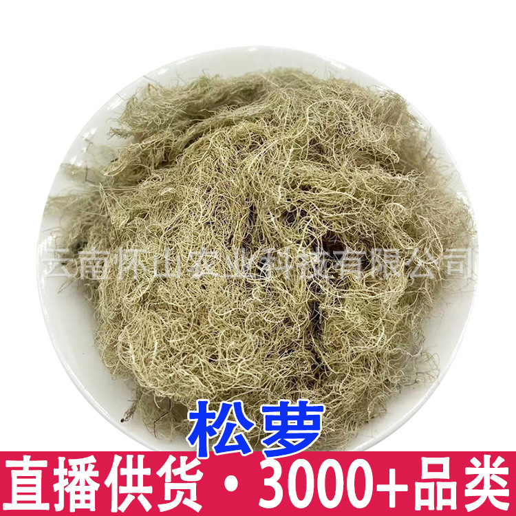 四川阿坝州海拔2000-4000米高原药材 松萝 云雾草 老君须 批发