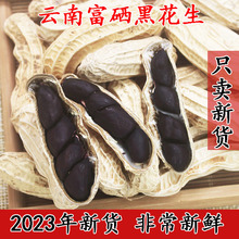 富硒黑花生带壳2023新货云南普洱种子籽晒干生熟黑皮黑花生米