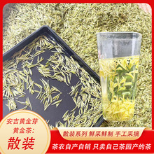 安吉黄金奶白茶2025年新茶叶开园头采250克自封袋简装高山茶农直
