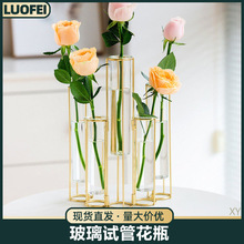 北欧轻奢风试管透明玻璃花瓶摆件客厅干花插花器装饰创意简约水养