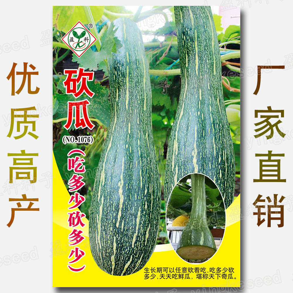 约10粒砍瓜种子 随砍随吃有机蔬菜种子批发春夏秋季四季播种庭院