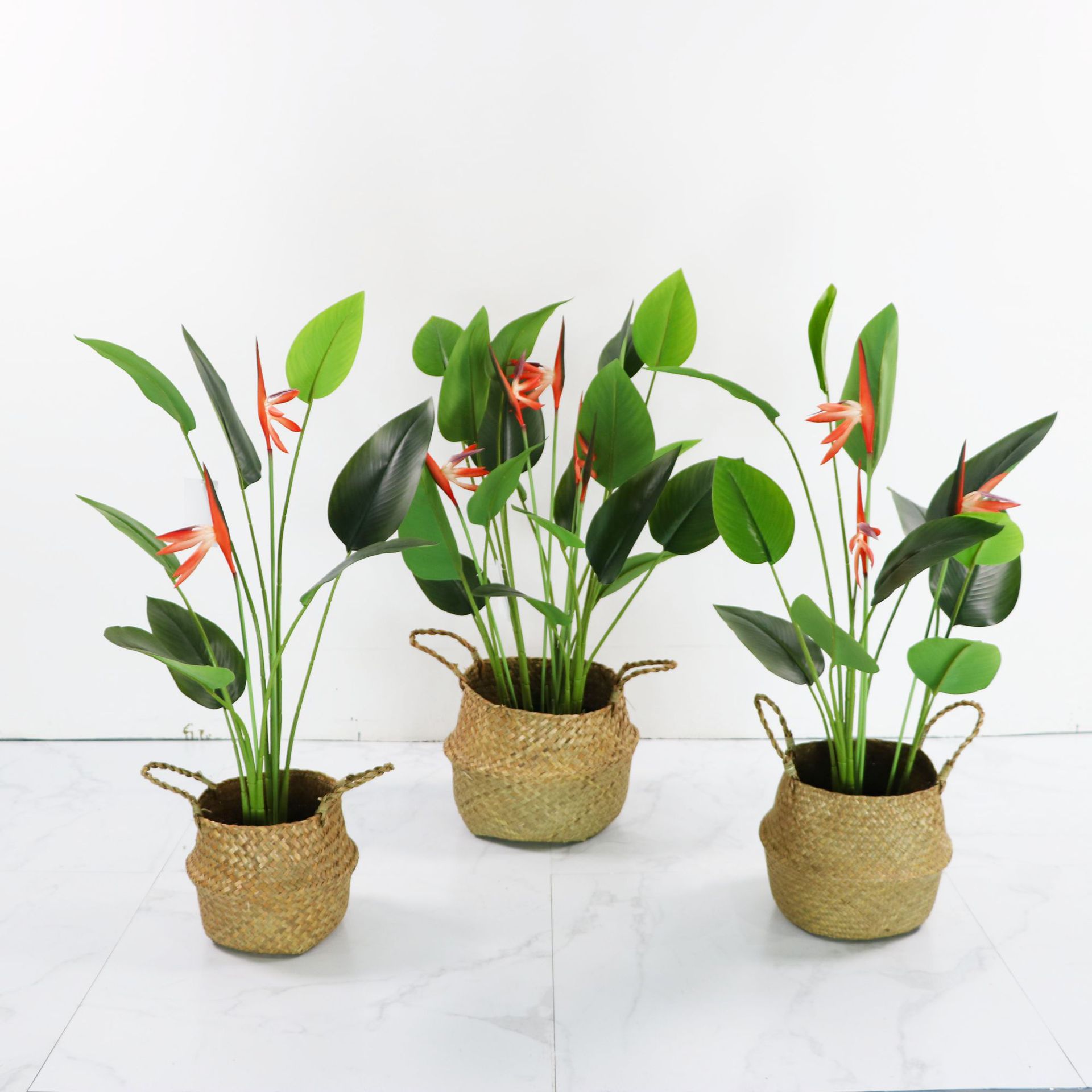 仿真植物天堂鸟美人蕉橱窗假植物室内落盆景绿植造景景观植物