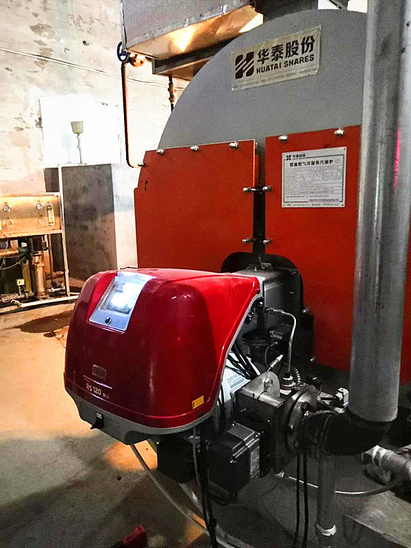 厂家销售道森超低氮燃烧机ds200efgr排放30毫克以下现货供应