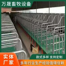 落地式母猪限位栏 全复合双体母猪产床 产保一体两用床