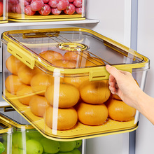 冰箱收纳盒保鲜食品级厨房蔬菜水果储物饺子鸡蛋冷冻跨境