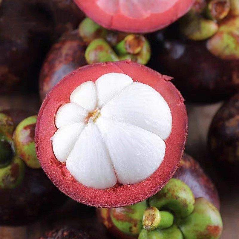 山竹整箱新鲜水果热带油麻竹降火孕妇水果批发包邮厂家速卖通批发