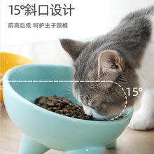 彩色陶瓷碗狗碗猫碗防打翻食盆高脚宠物喝水碗泰迪幼猫小型犬用品