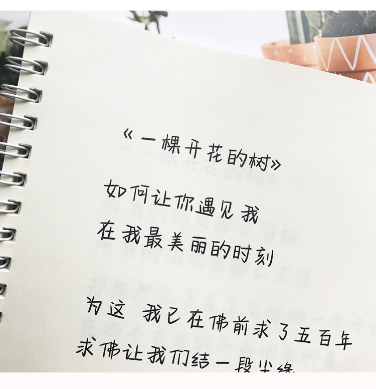 奶酪牛奶体字帖女生漂亮手写字体大学生速成网红神仙字体临摹练字