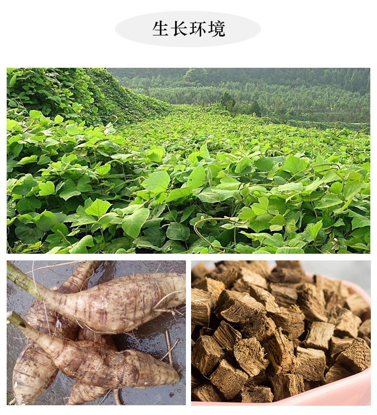 柴葛根片葛根茶粉葛根干块解酒500g自产老柴葛根粉