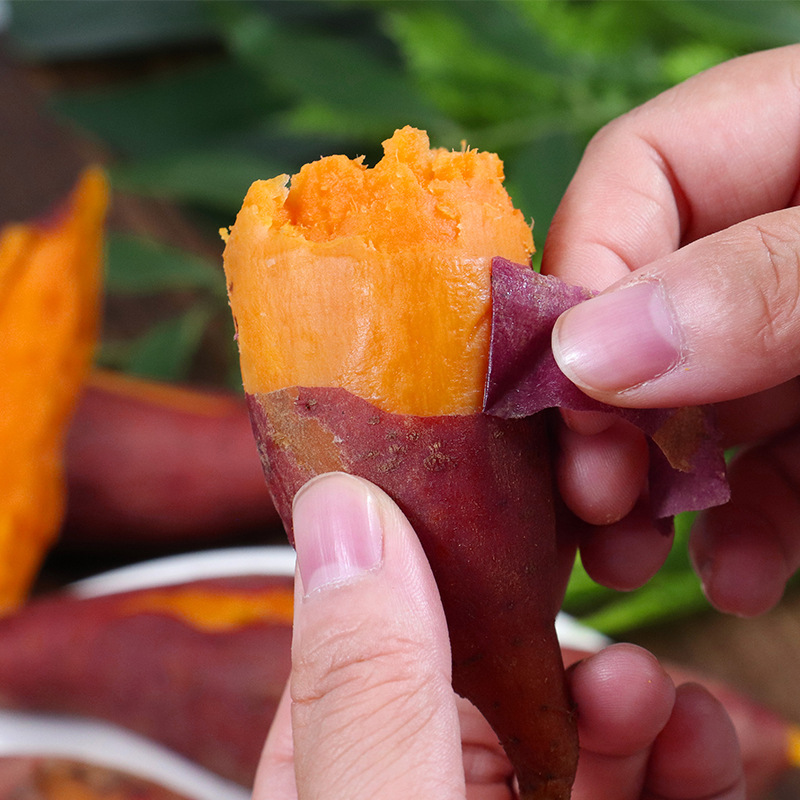 现挖新鲜红薯产地直销农家自种沙地红蜜薯红心板栗红薯山芋小番薯