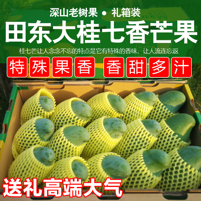 广西百色田东桂七芒果新鲜10斤特大果桂七香芒礼盒装